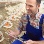 Software Akuntansi Ternak Ayam, Apa Saja Fitur & Manfaatnya